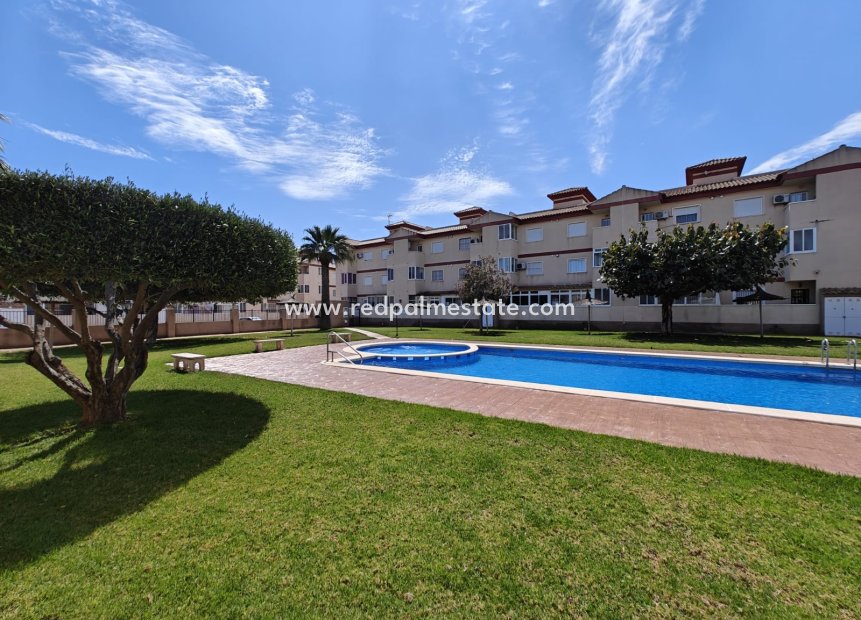 Resale - Apartment -
San Pedro del Pinatar - Costa Calida