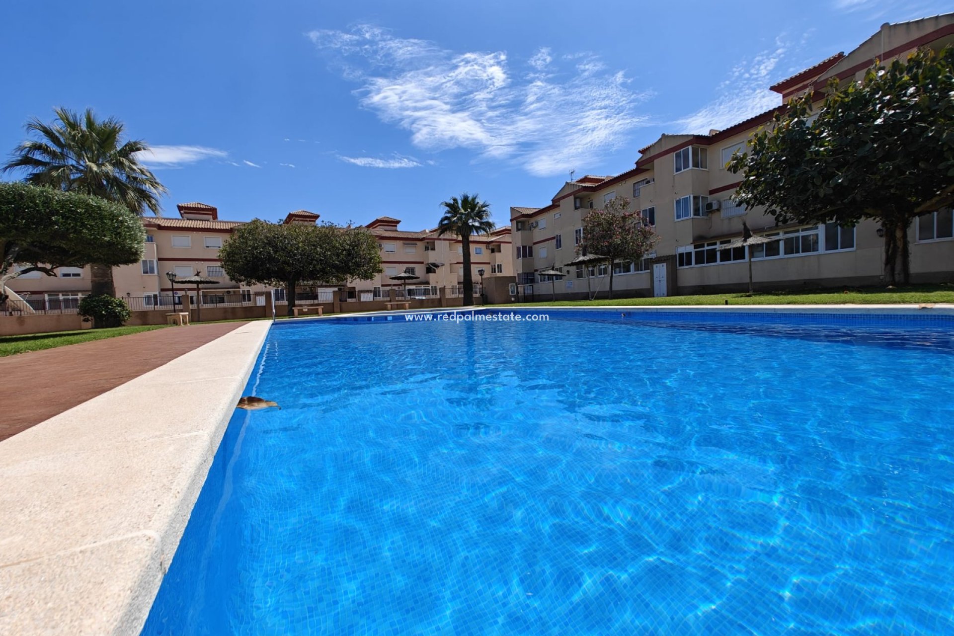 Resale - Apartment -
San Pedro del Pinatar - Costa Calida