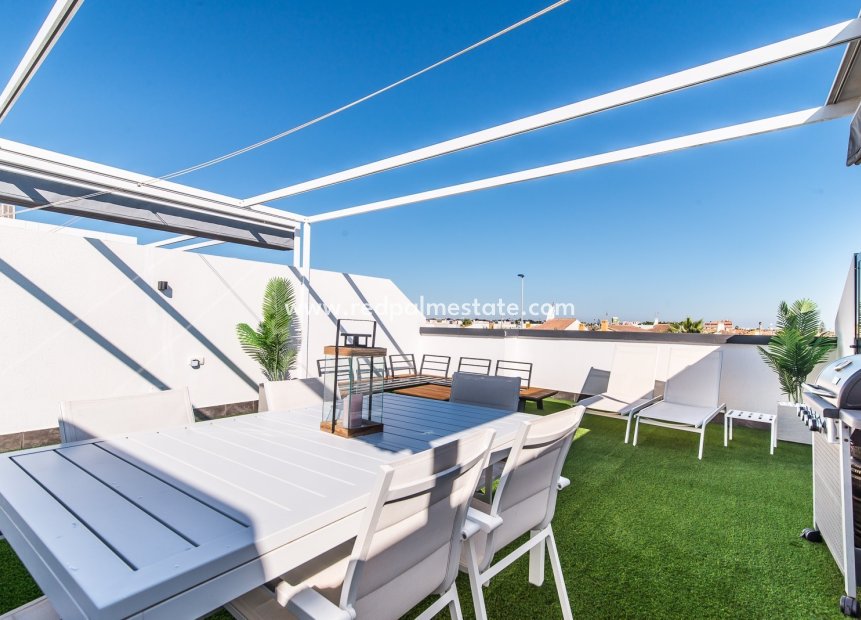 Resale - Apartment -
Torre de la Horadada - Costa Blanca