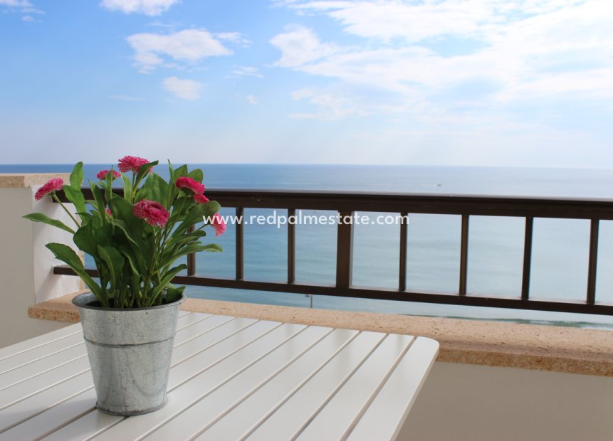 Resale - Apartment -
Torre de la Horadada - Mil Palmeras