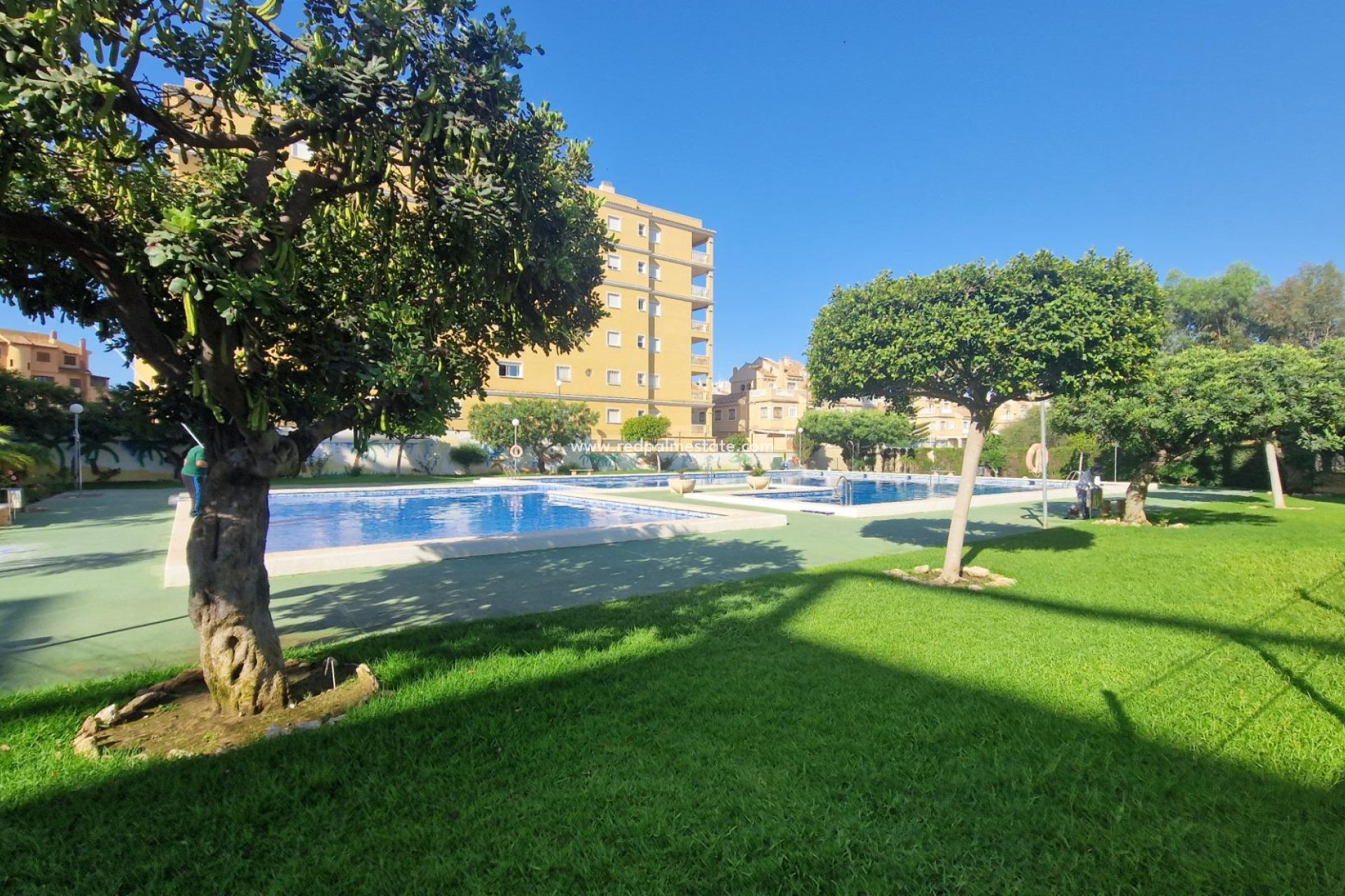 Resale - Apartment -
Torrevieja - Aguas Nuevas