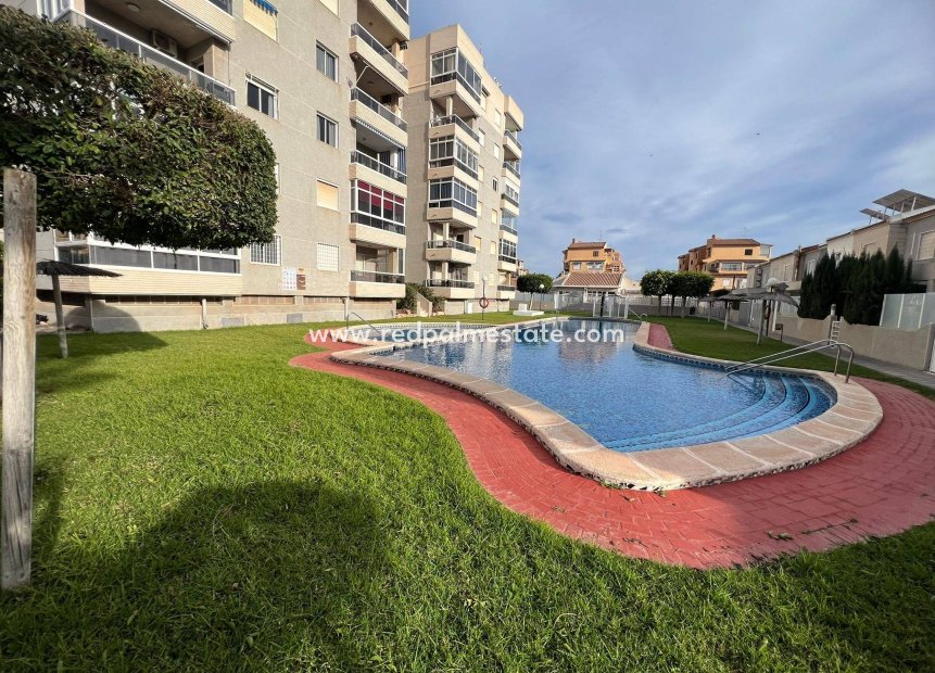 Resale - Apartment -
Torrevieja - Aguas Nuevas