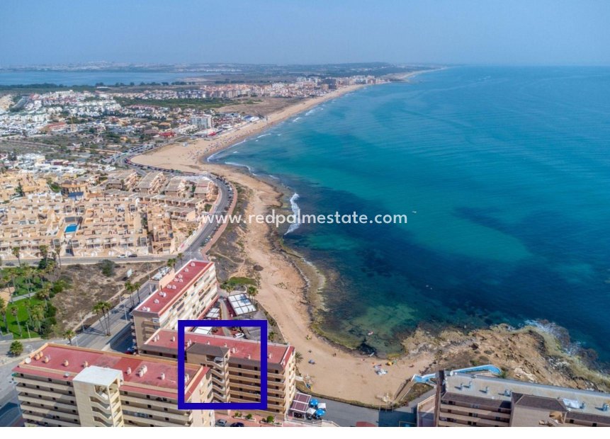Resale - Apartment -
Torrevieja - Cabo cervera