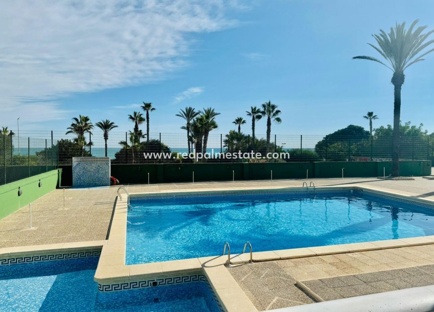 Resale - Apartment -
Torrevieja - Cabo cervera