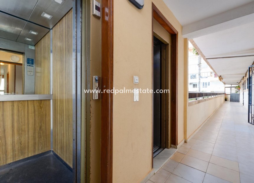 Resale - Apartment -
Torrevieja - Cabo cervera