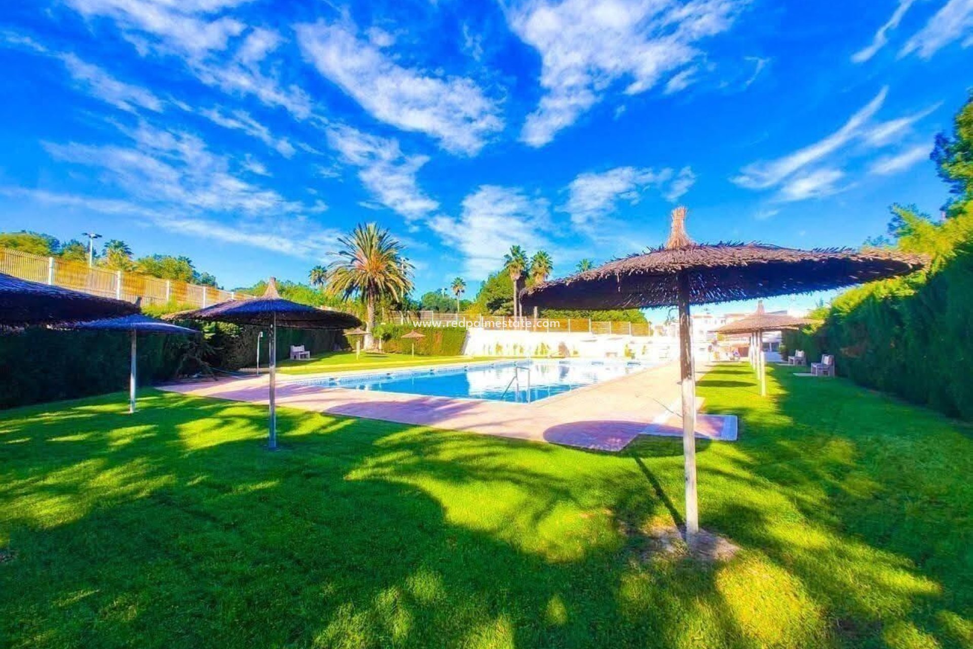 Resale - Apartment -
Torrevieja - Calas blanca
