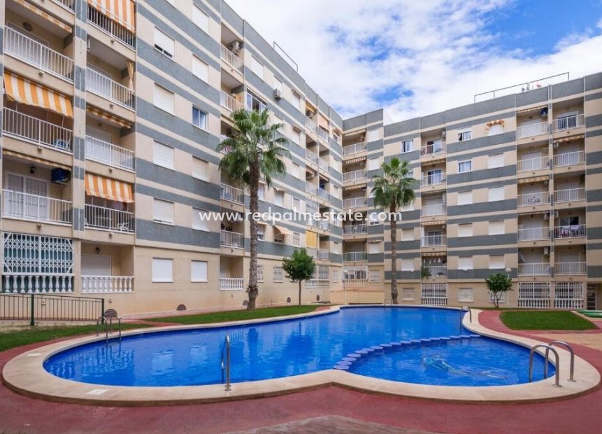 Resale - Apartment -
Torrevieja - Center