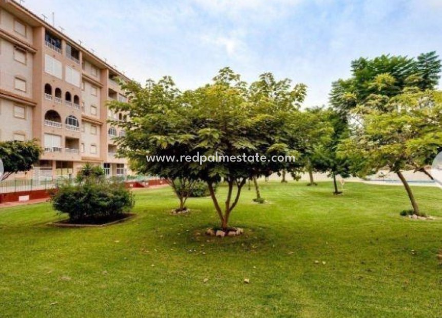 Resale - Apartment -
Torrevieja - Center