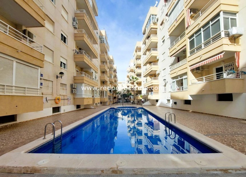 Resale - Apartment -
Torrevieja - Center