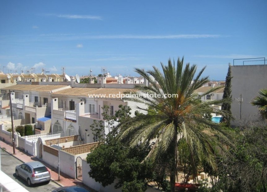 Resale - Apartment -
Torrevieja - Centro Torrevieja