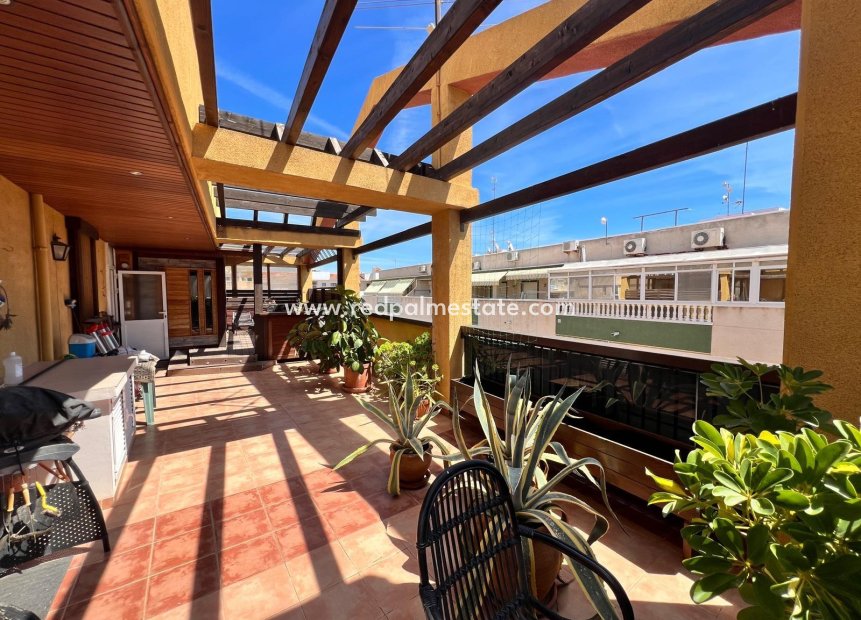 Resale - Apartment -
Torrevieja - Centro Torrevieja