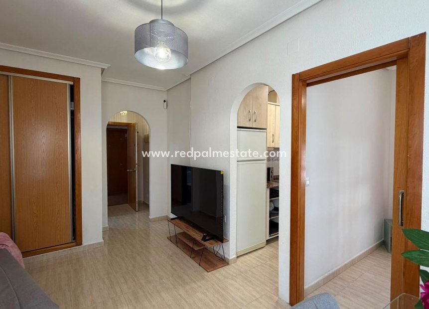 Resale - Apartment -
Torrevieja - Centro Torrevieja