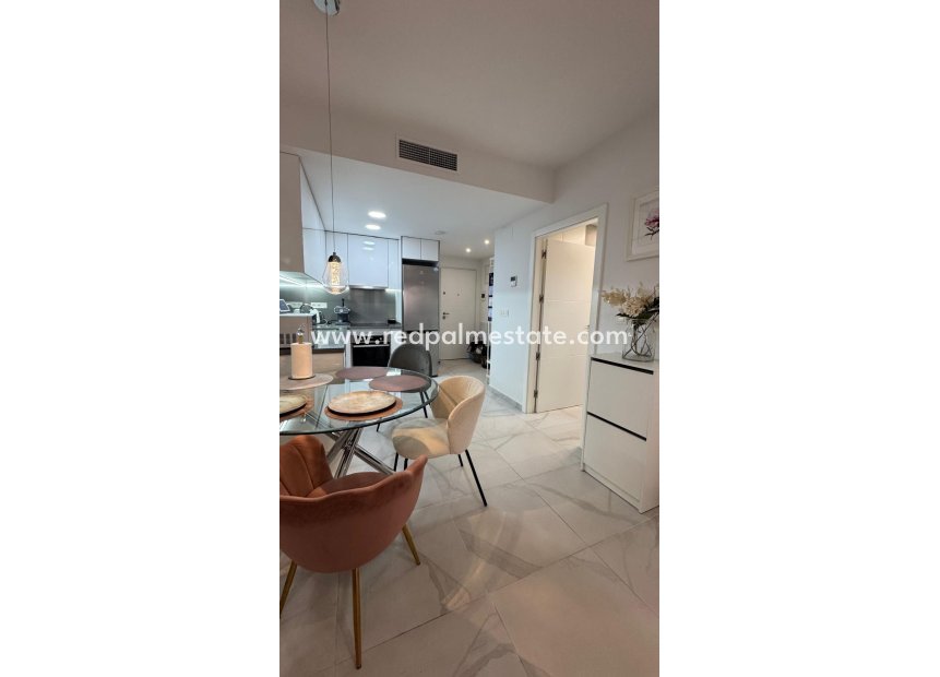 Resale - Apartment -
Torrevieja - Centro Torrevieja