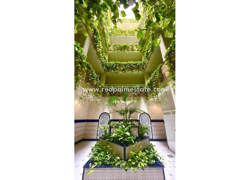 Resale - Apartment -
Torrevieja - Centro Torrevieja