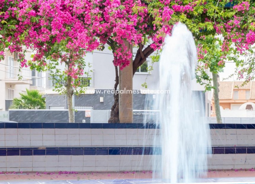 Resale - Apartment -
Torrevieja - Centro Torrevieja