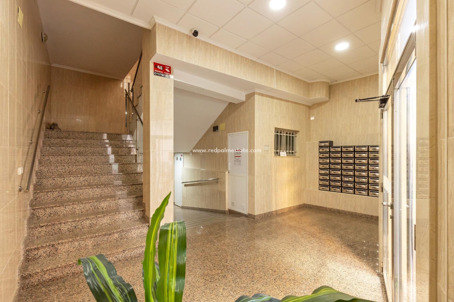 Resale - Apartment -
Torrevieja - Centro Torrevieja