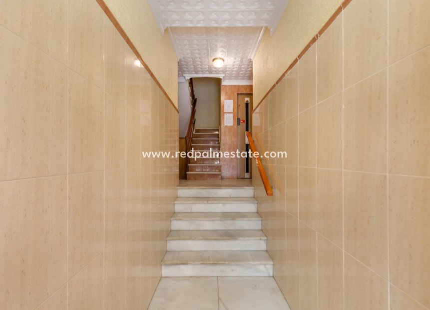 Resale - Apartment -
Torrevieja - Centro Torrevieja