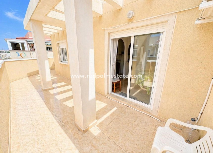 Resale - Apartment -
Torrevieja - Centro Torrevieja
