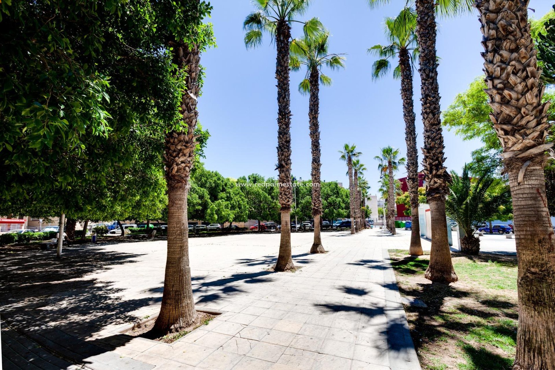Resale - Apartment -
Torrevieja - Centro Torrevieja
