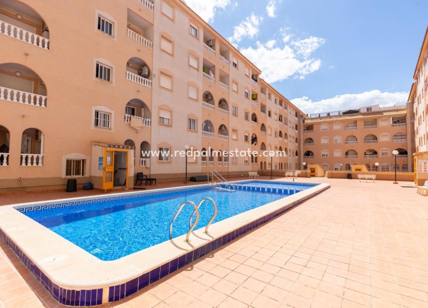 Resale - Apartment -
Torrevieja - Centro Torrevieja