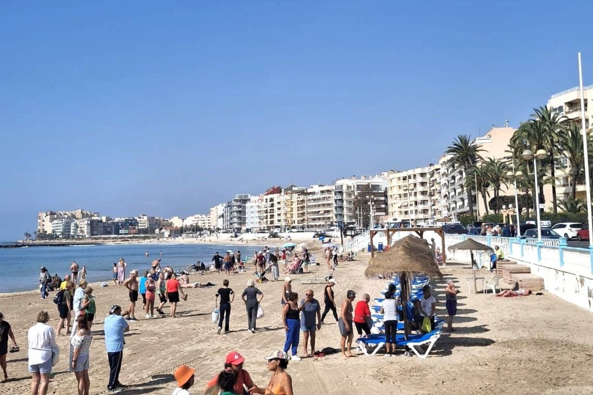 Resale - Apartment -
Torrevieja - Centro Torrevieja