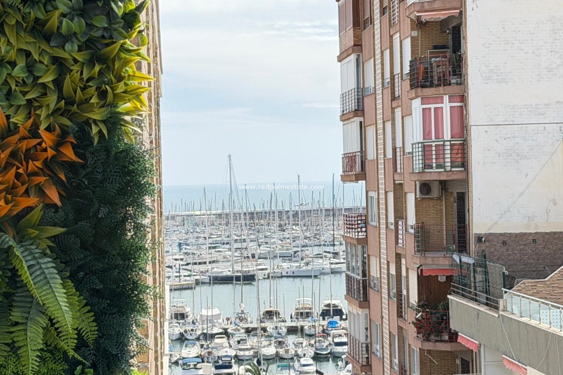 Resale - Apartment -
Torrevieja - Centro Torrevieja