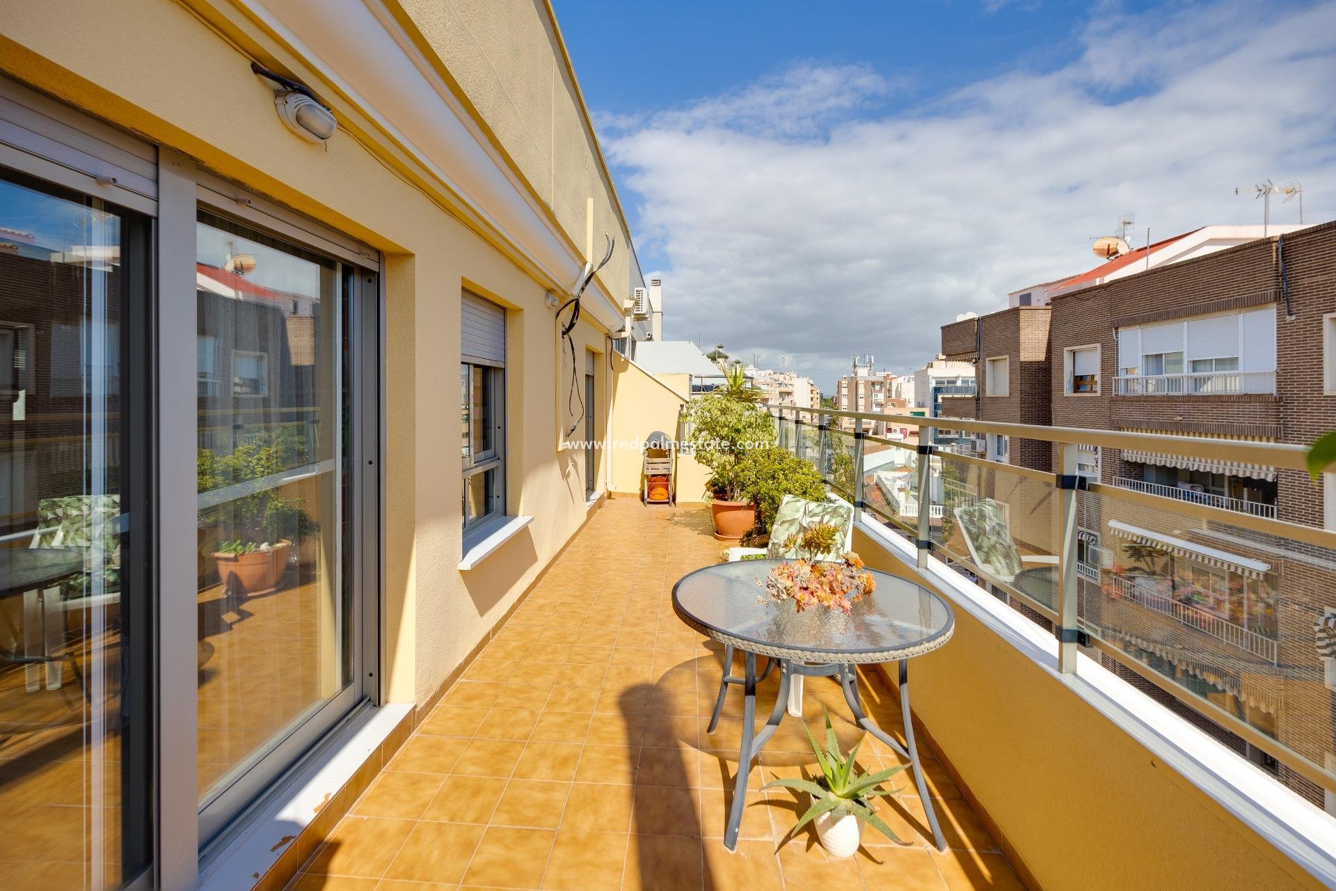 Resale - Apartment -
Torrevieja - Centro Torrevieja