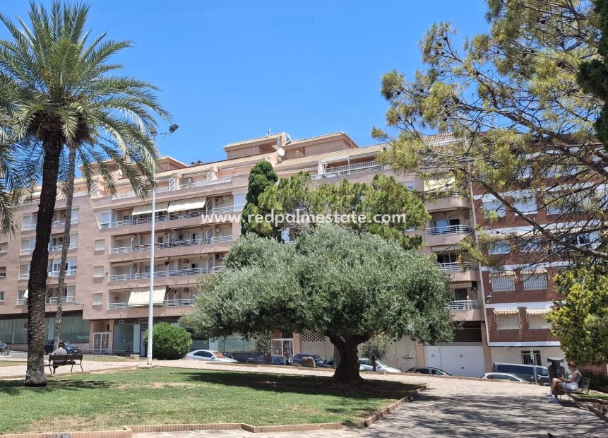 Resale - Apartment -
Torrevieja - Centro Torrevieja