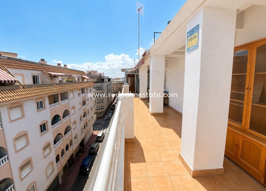 Resale - Apartment -
Torrevieja - Centro Torrevieja