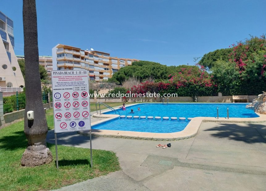 Resale - Apartment -
Torrevieja - Costa Blanca