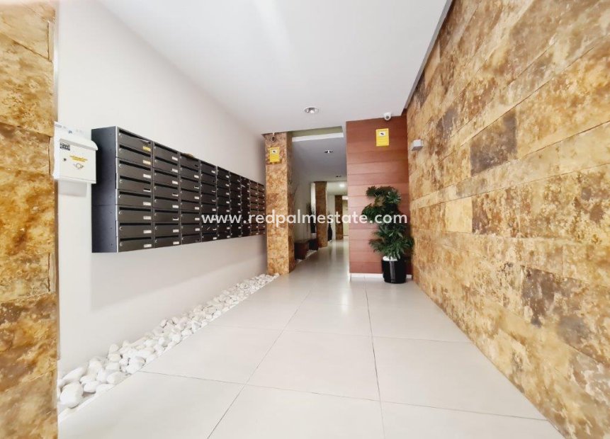 Resale - Apartment -
Torrevieja - Costa Blanca