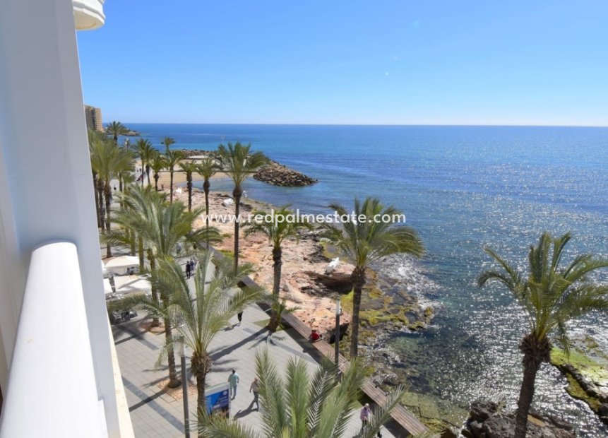 Resale - Apartment -
Torrevieja - Costa Blanca