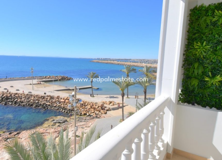 Resale - Apartment -
Torrevieja - Costa Blanca