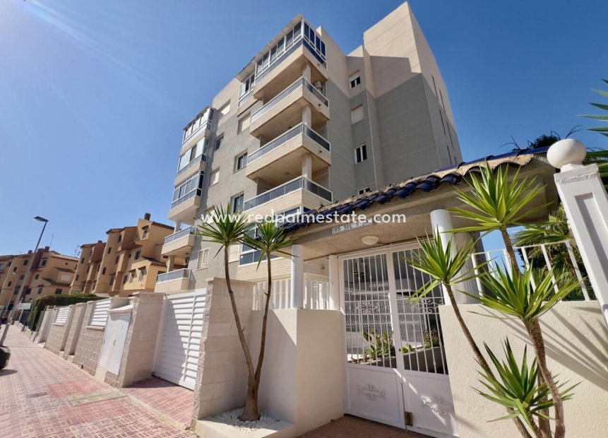 Resale - Apartment -
Torrevieja - Costa Blanca