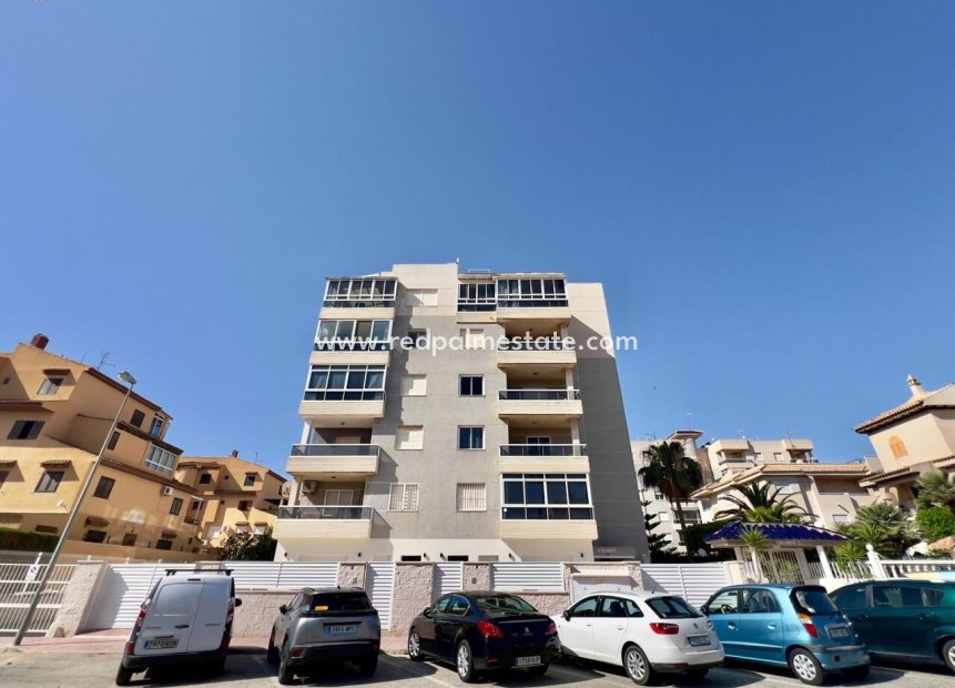 Resale - Apartment -
Torrevieja - Costa Blanca