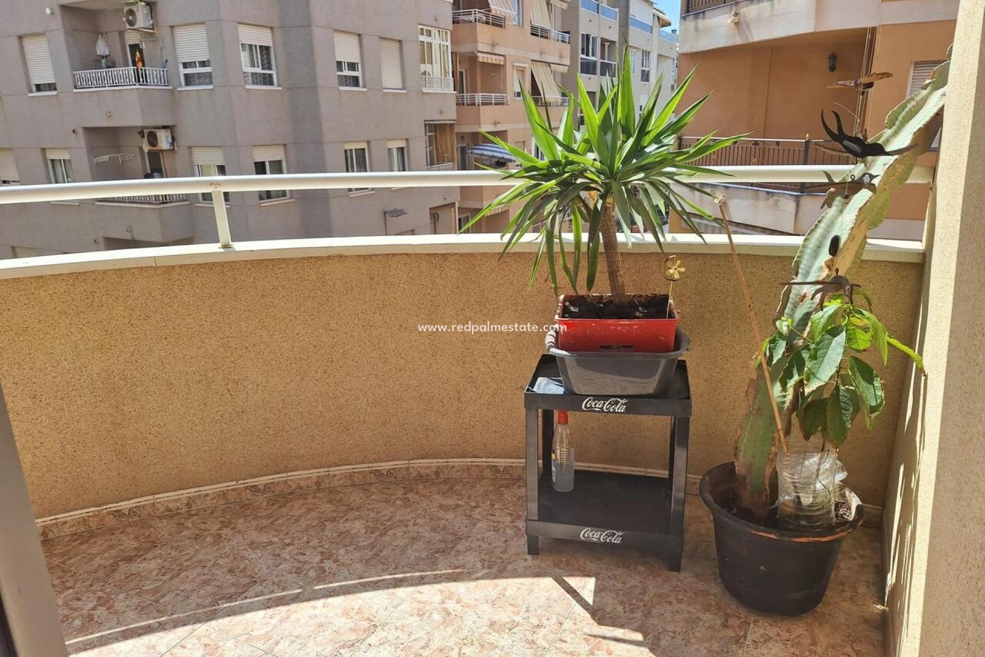 Resale - Apartment -
Torrevieja - Costa Blanca