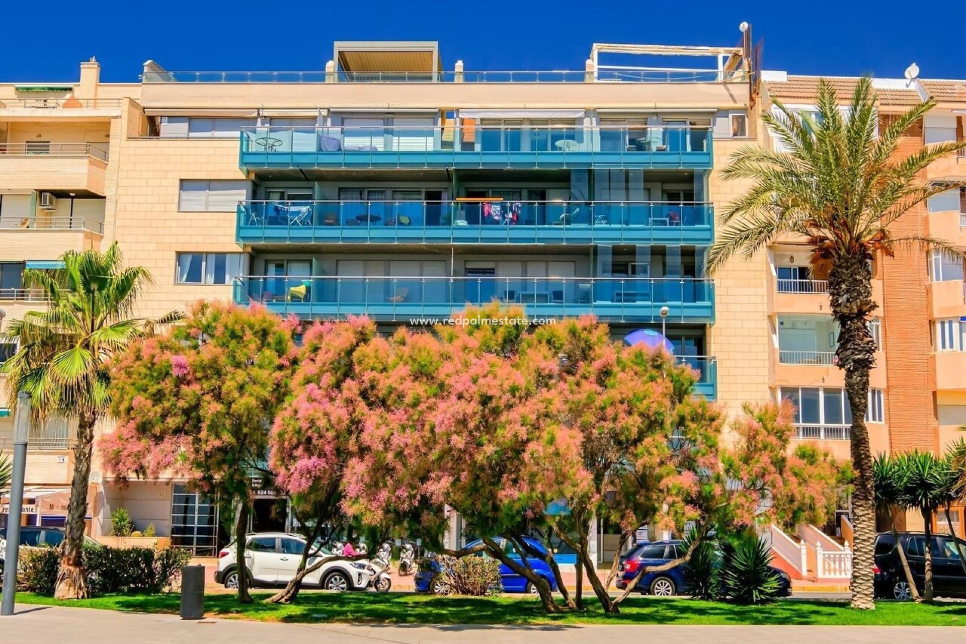 Resale - Apartment -
Torrevieja - Costa Blanca