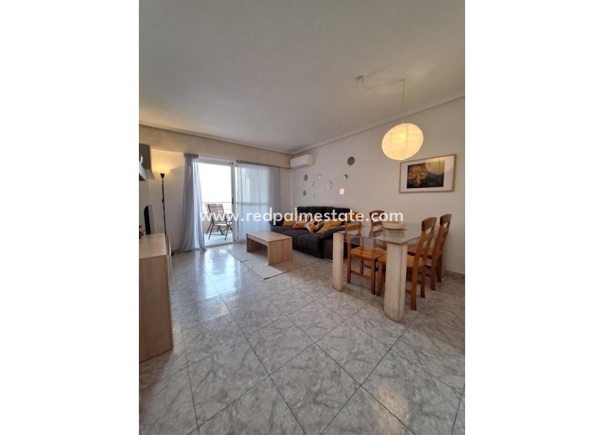 Resale - Apartment -
Torrevieja - Costa Blanca