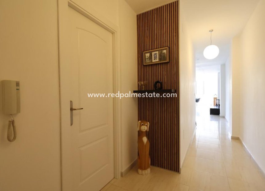 Resale - Apartment -
Torrevieja - Costa Blanca