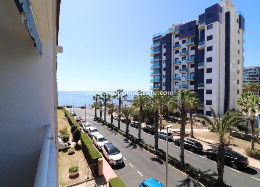 Resale - Apartment -
Torrevieja - Costa Blanca