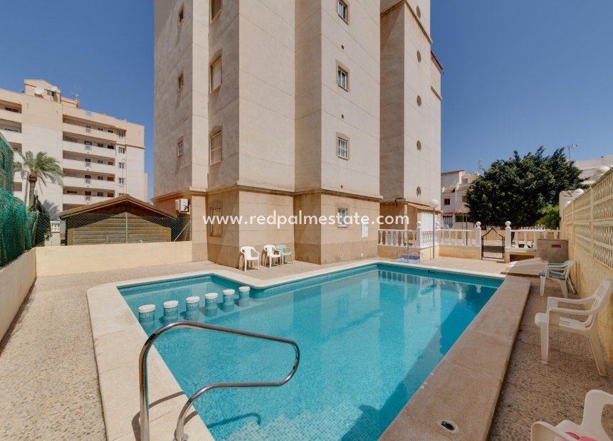 Resale - Apartment -
Torrevieja - Estacion de autobuses