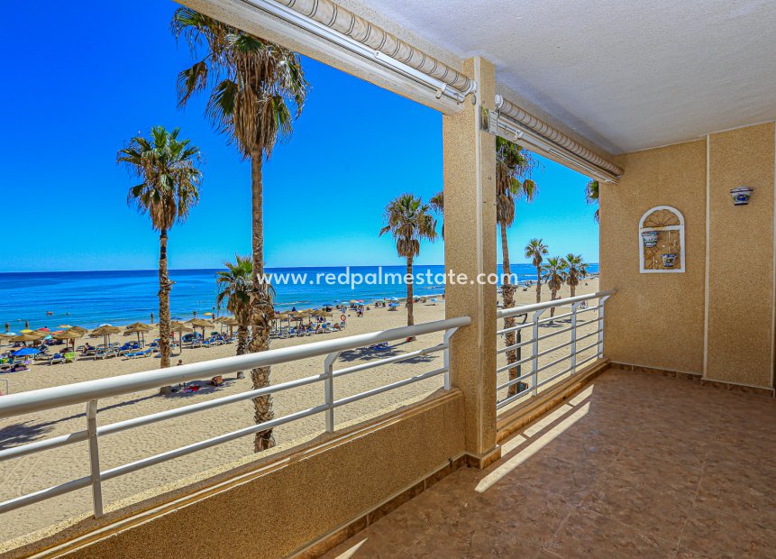 Resale - Apartment -
Torrevieja - La Mata