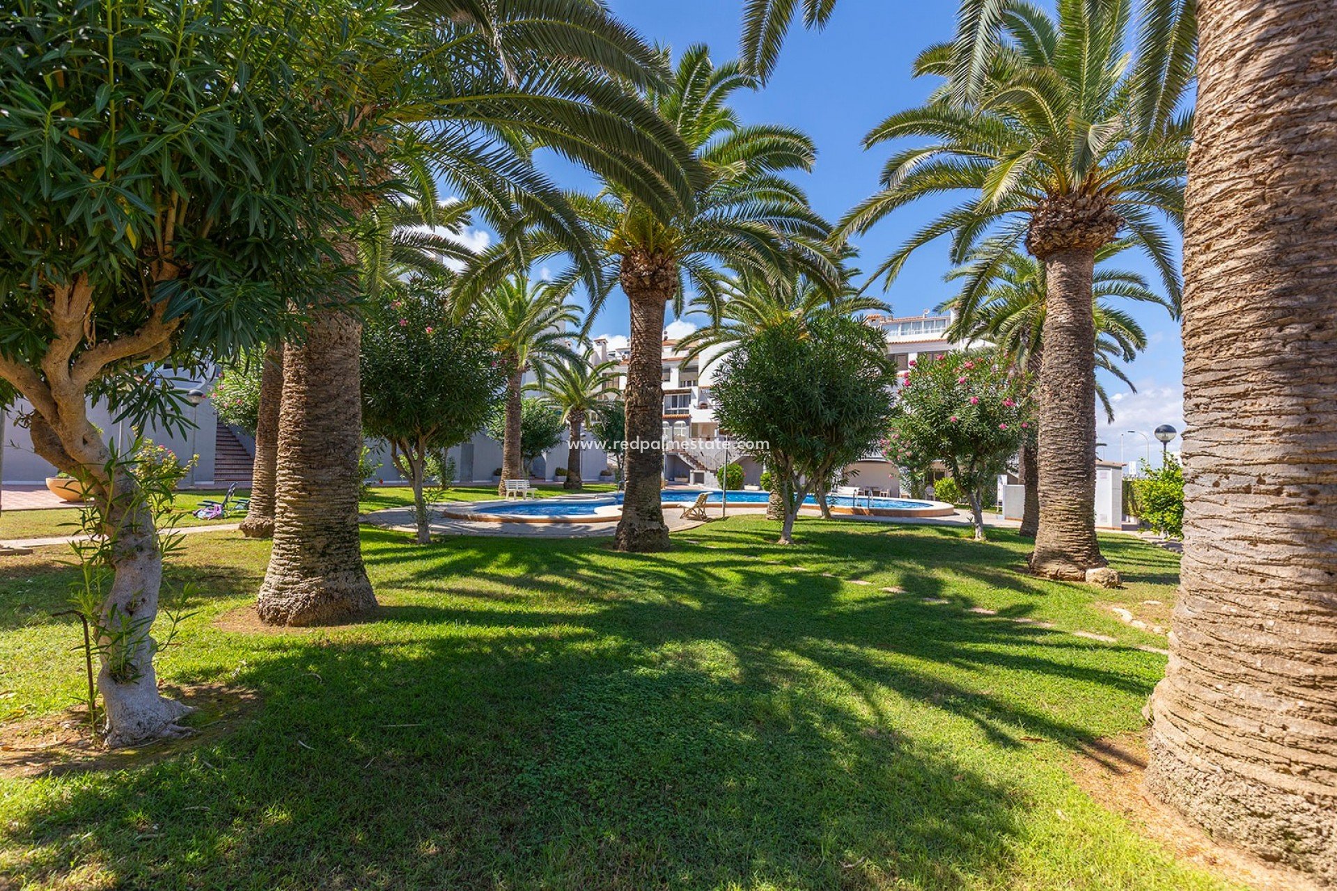 Resale - Apartment -
Torrevieja - La Mata