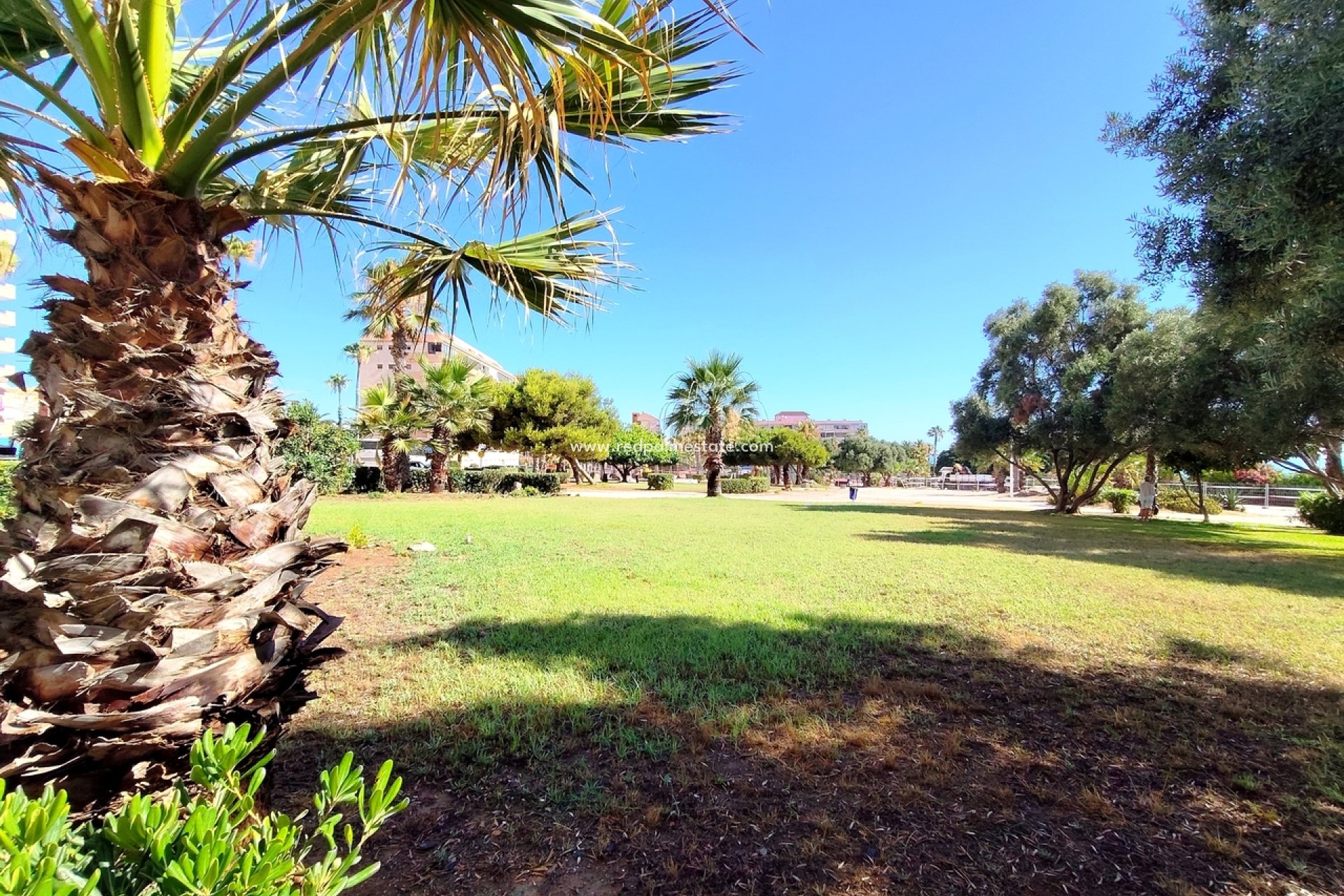 Resale - Apartment -
Torrevieja - La Mata