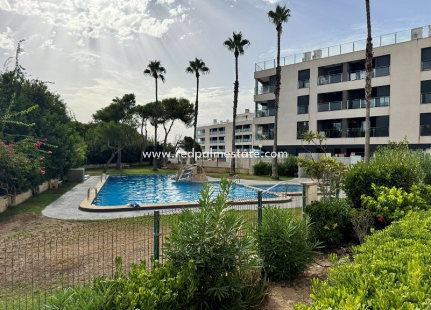 Resale - Apartment -
Torrevieja - La Mata