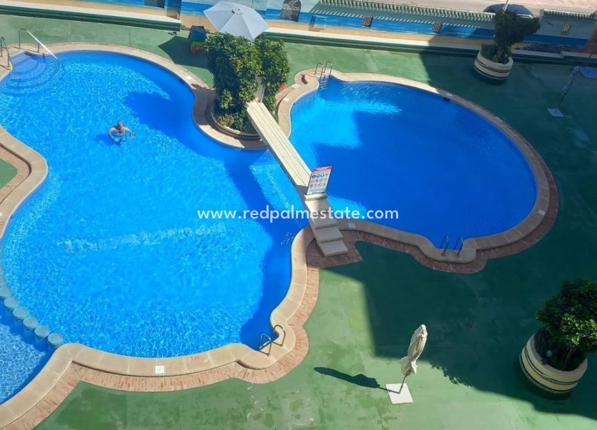 Resale - Apartment -
Torrevieja - La Mata