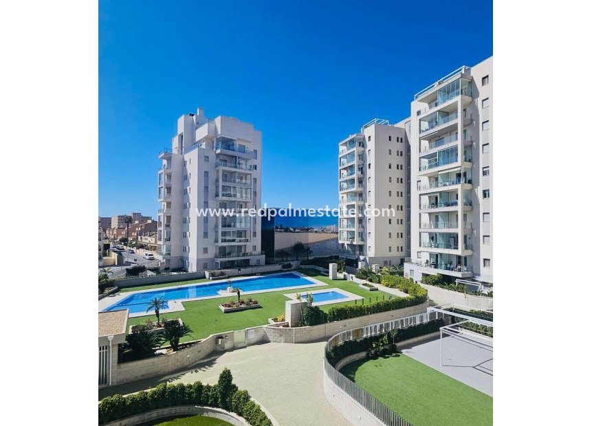 Resale - Apartment -
Torrevieja - La Mata