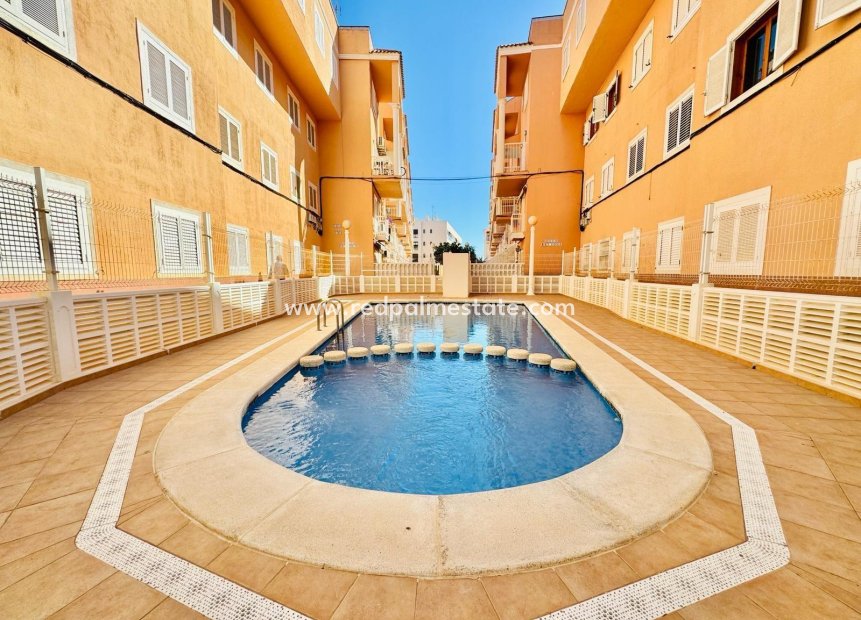 Resale - Apartment -
Torrevieja - La Mata