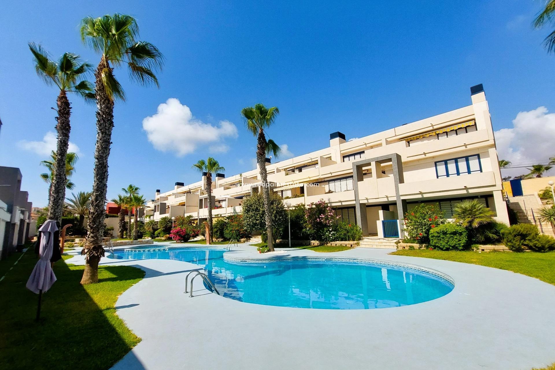 Resale - Apartment -
Torrevieja - La Mata