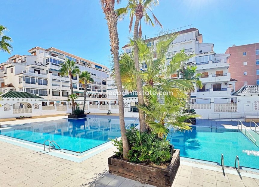 Resale - Apartment -
Torrevieja - La Mata